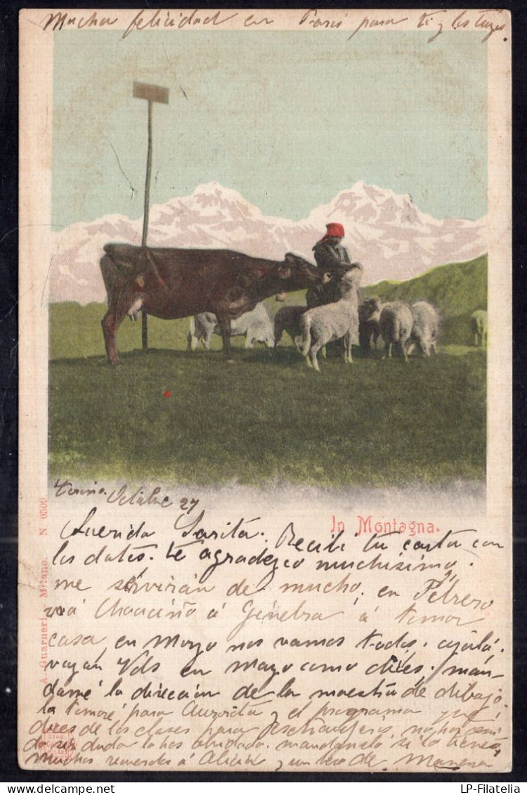 Italy - 1927 - Torino - Colorized - Woman Feeding Cows - Mucche