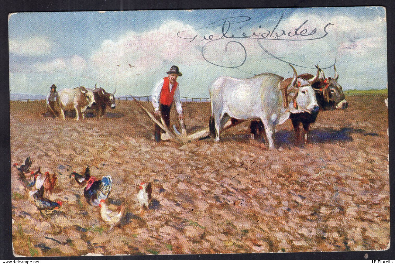 Italy - Circa 1910 - Oxen - Chickens - Man Working The Land With Oxen - Cows