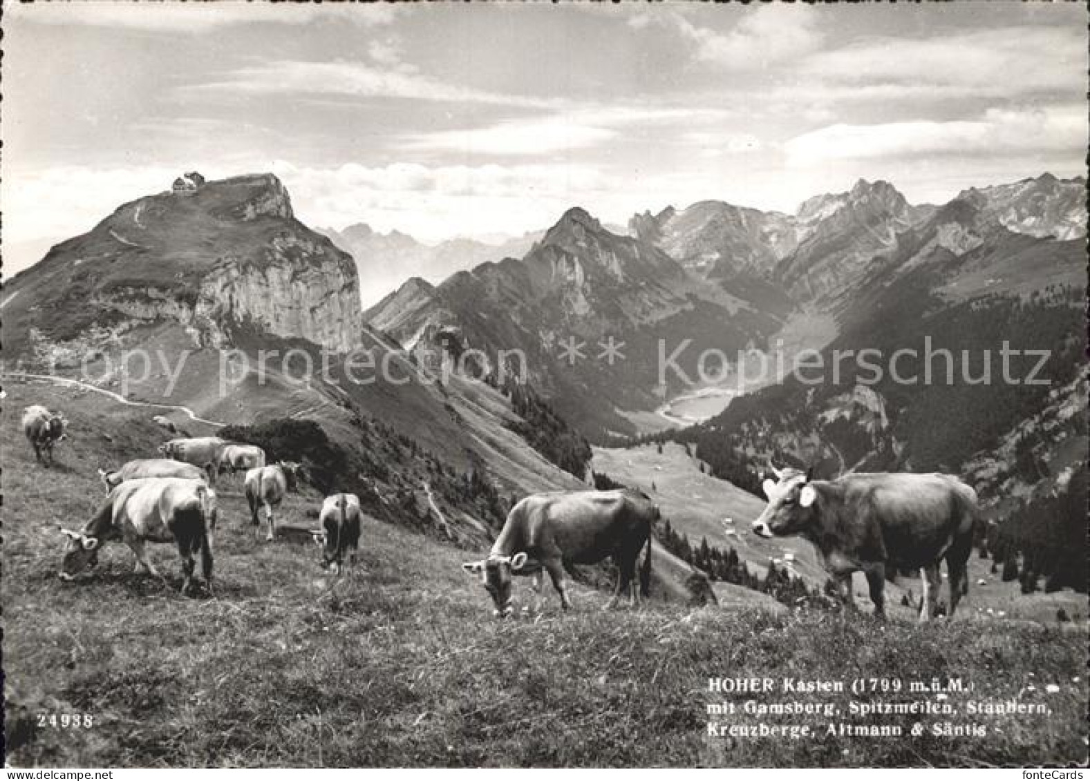 11878714 Hoher Kasten Gamsberg Spitzmeilen Stanbern Kreuzberge Altmann Saentis H - Sonstige & Ohne Zuordnung