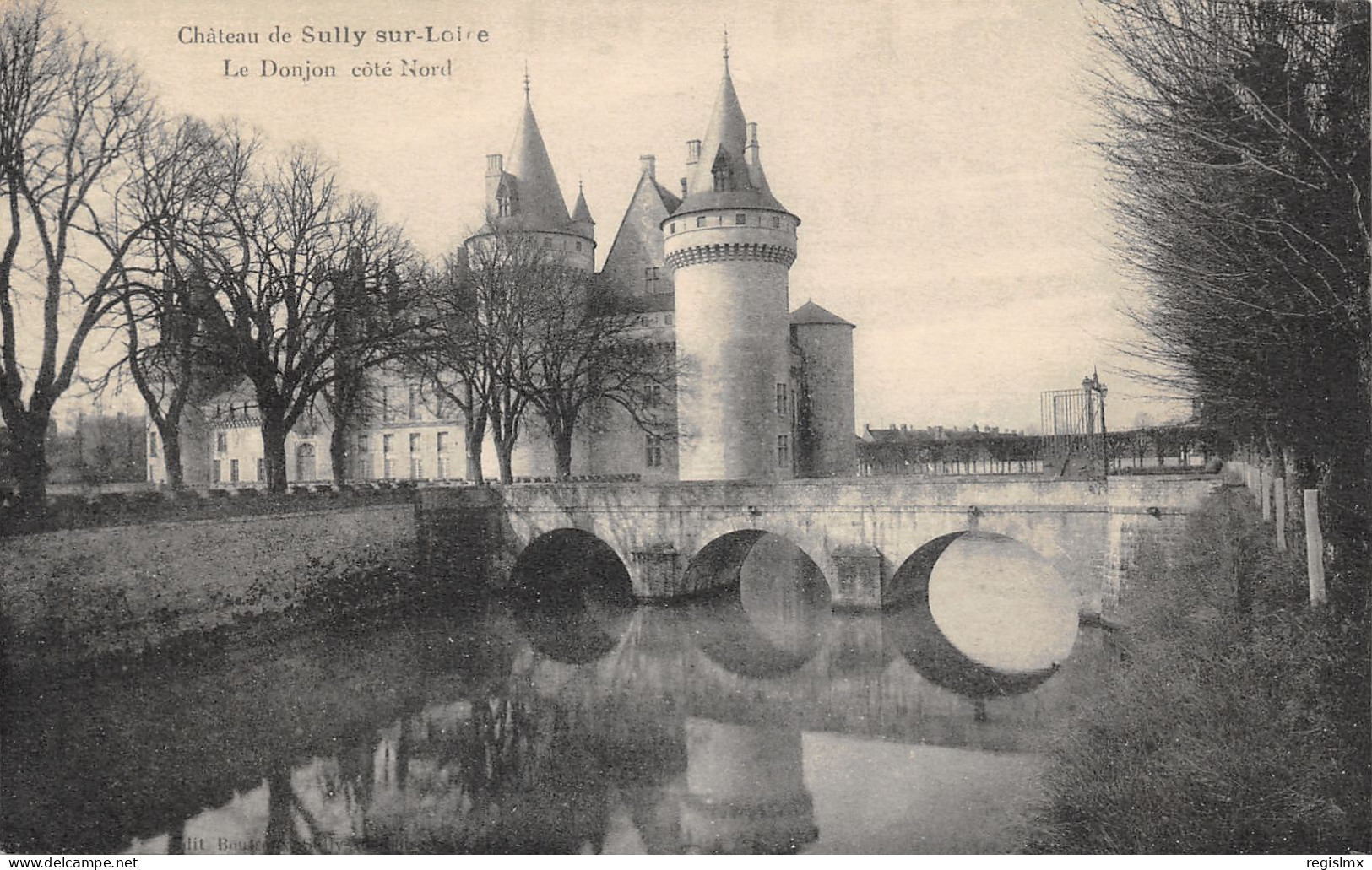 45-SULLY SUR LOIRE-LE CHÂTEAU-N°2035-E/0055 - Sully Sur Loire