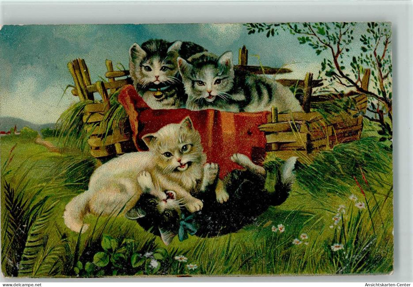 13024006 - Katzen Vier Katzen Spielen An Der Holzkiste - Gatos