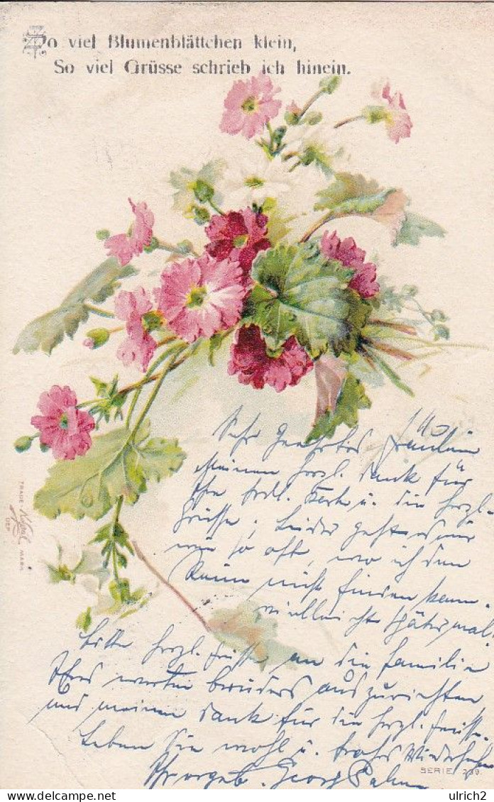 AK So Viel Blumenblättchen Klein... - Blumen - Künstlerkarte - 1903 (69098) - Blumen