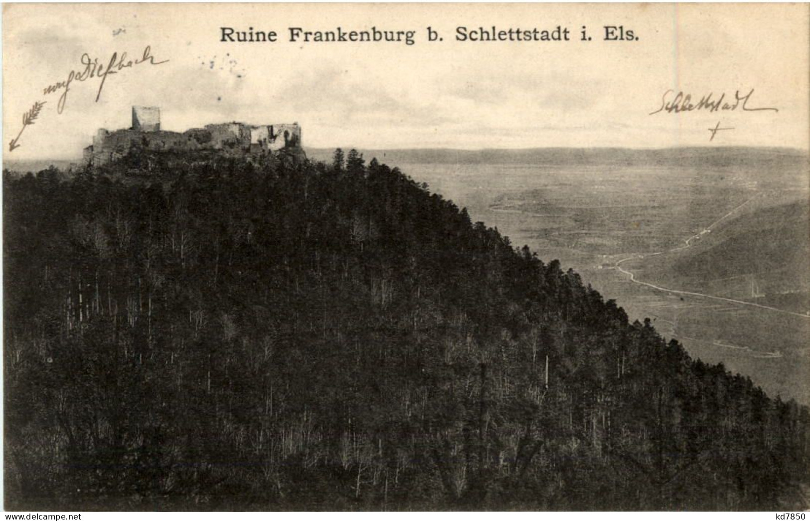 Ruine Frankenburg Bei Schlettstadt - Selestat