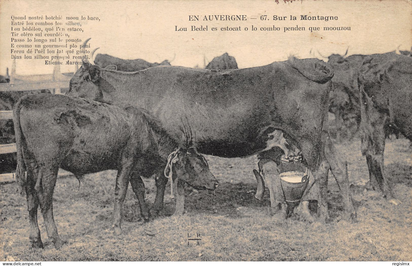 15-VACHES DU CANTAL-N°2041-B/0163 - Andere & Zonder Classificatie