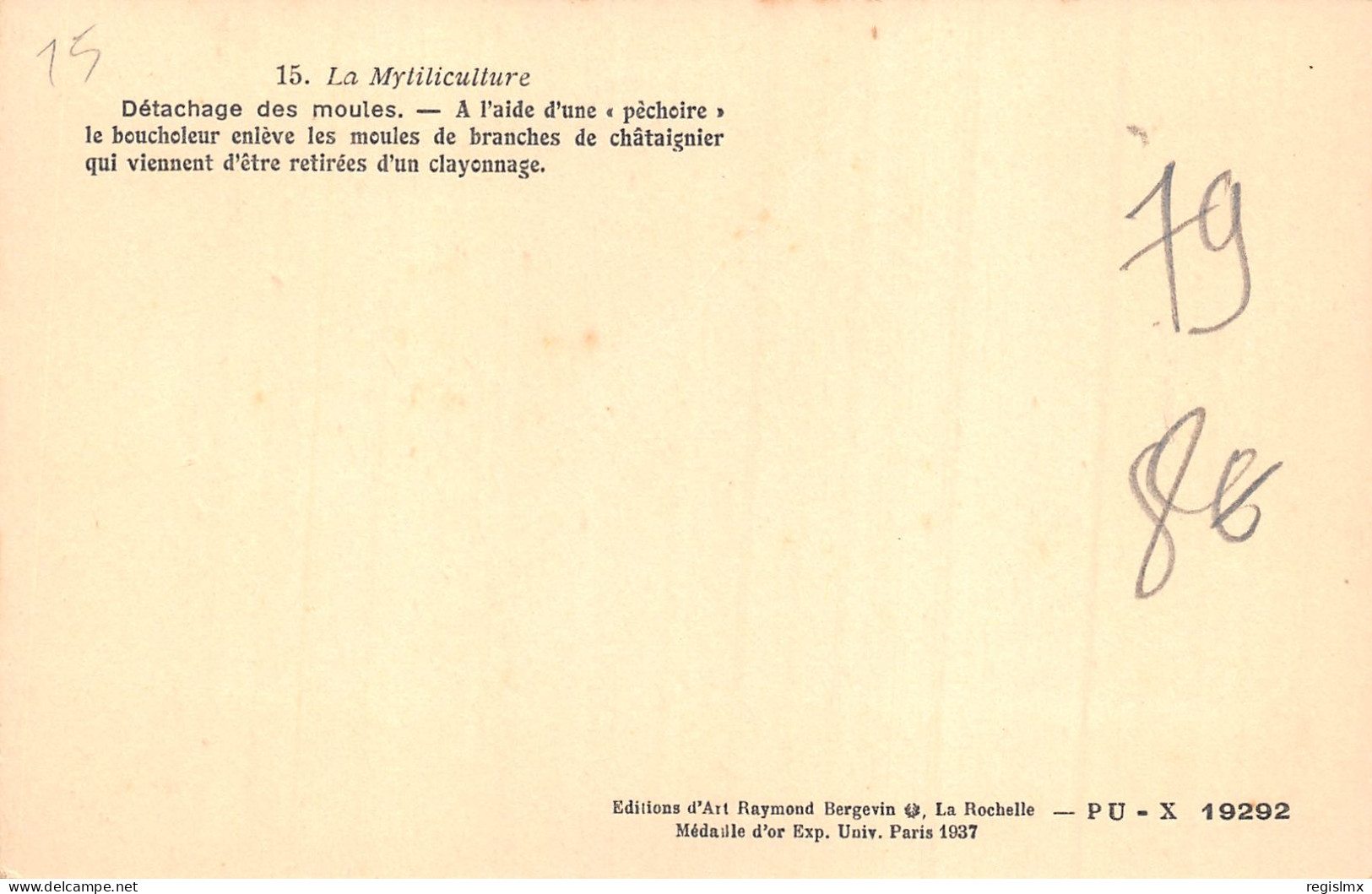 17-LE BOUCHOLEUR-DETACHAGE DES MOULES-N°2041-C/0227 - Other & Unclassified