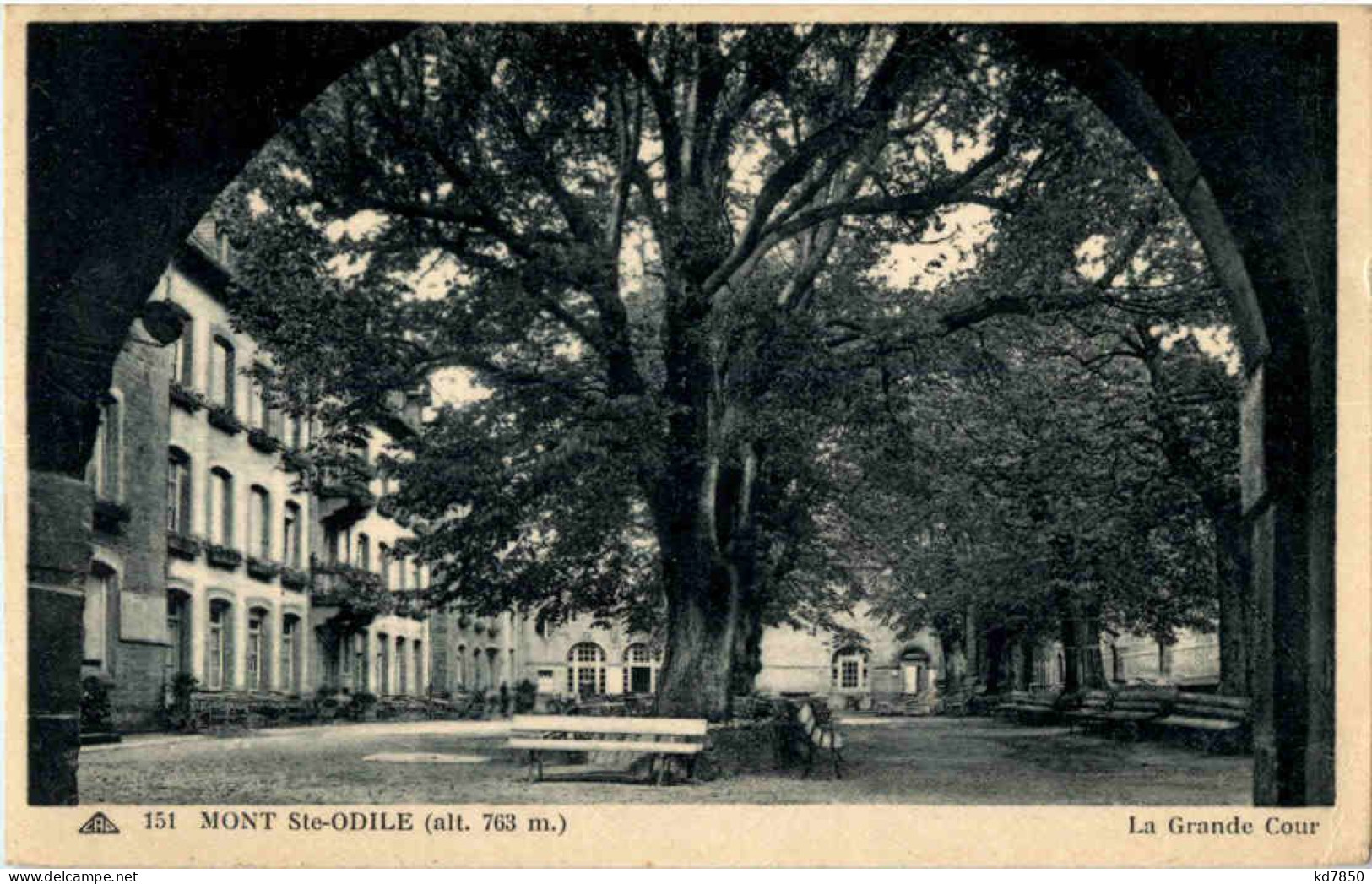 Mont Sainte Odile - La Grande Cour - Sainte Odile