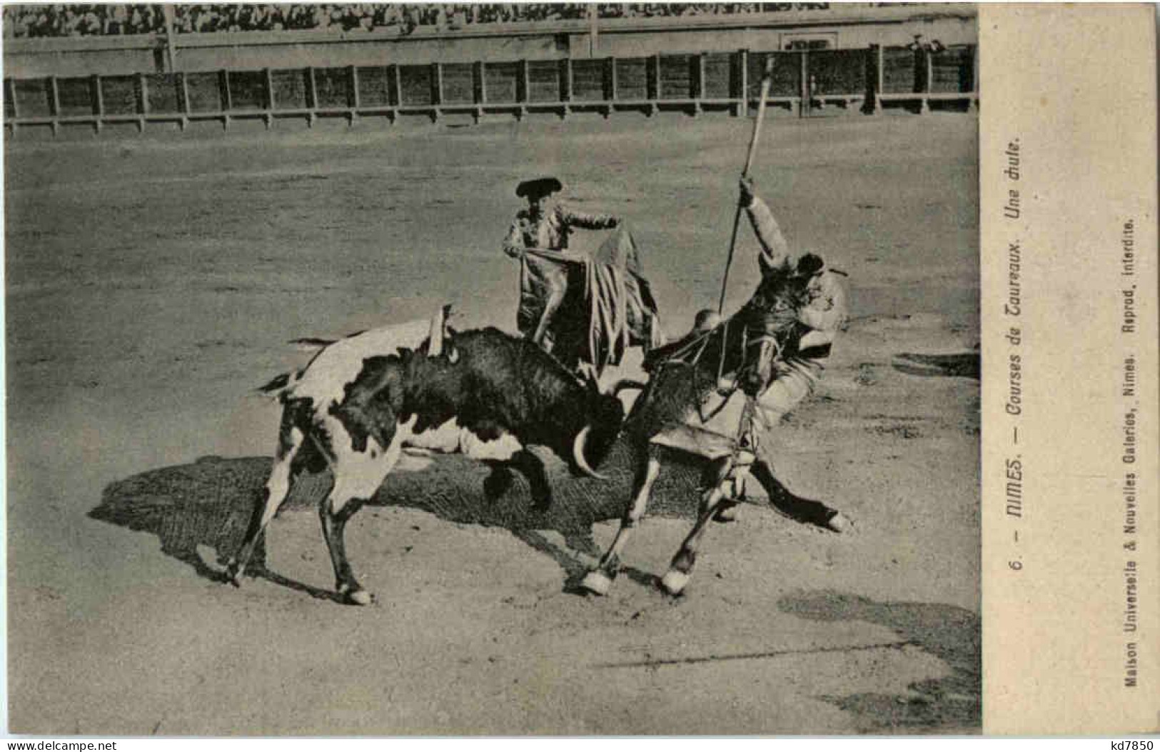 Nimes - Courses Le Taureux - Nîmes