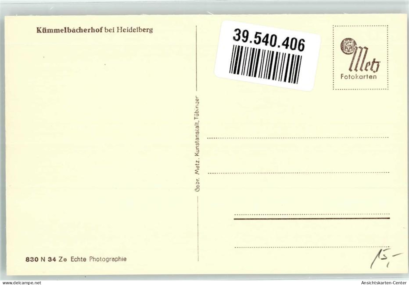 39540406 - Neckargemuend - Neckargemuend