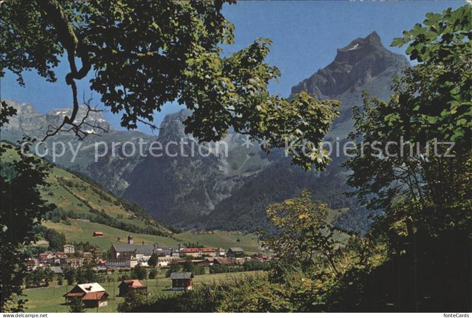 11878060 Engelberg OW Mit Hahnen Engelberg - Sonstige & Ohne Zuordnung