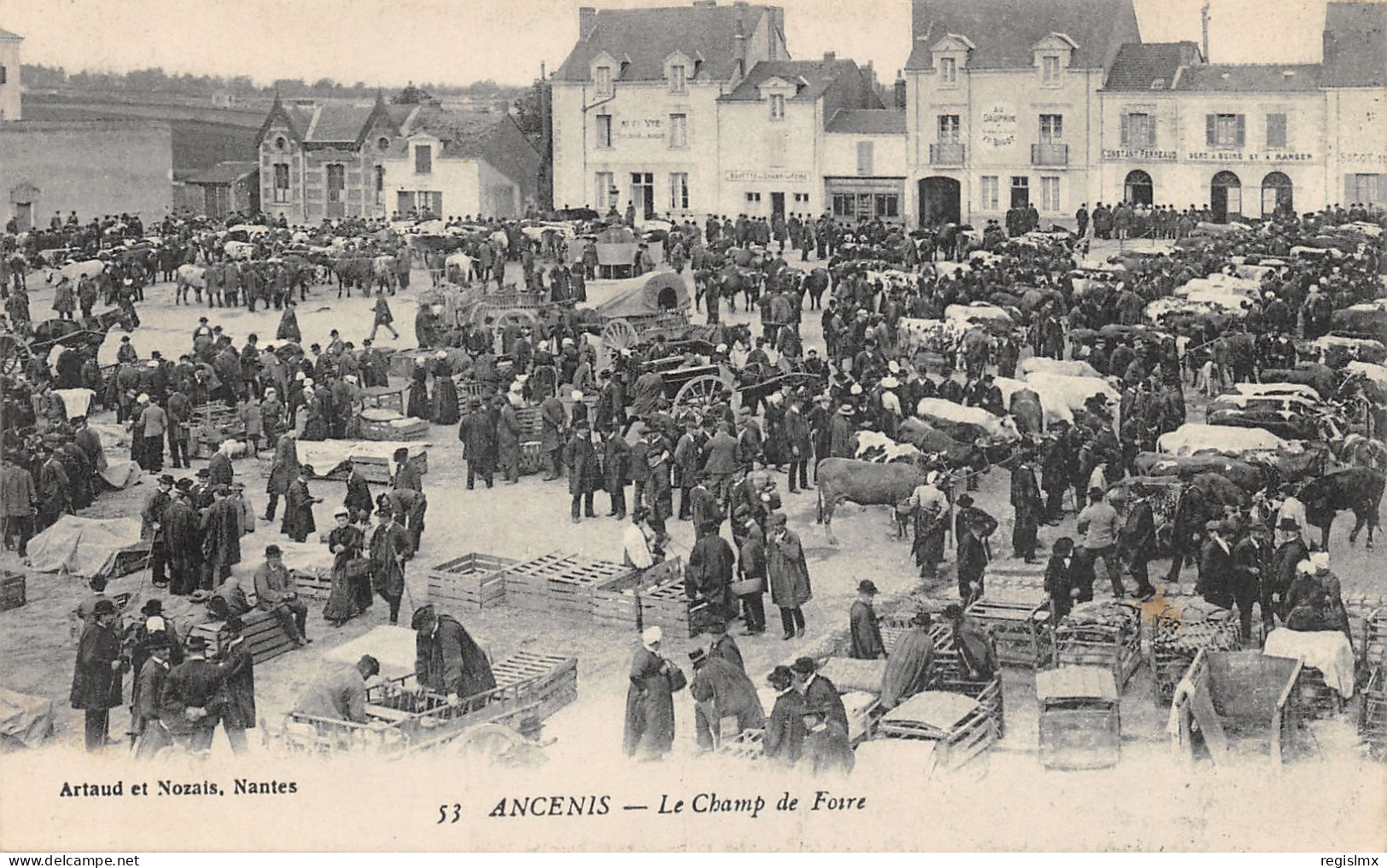 44-ANCENIS-CHAMP DE FOIRE-MARCHE AUX BESTIAUX-N°2043-B/0343 - Ancenis