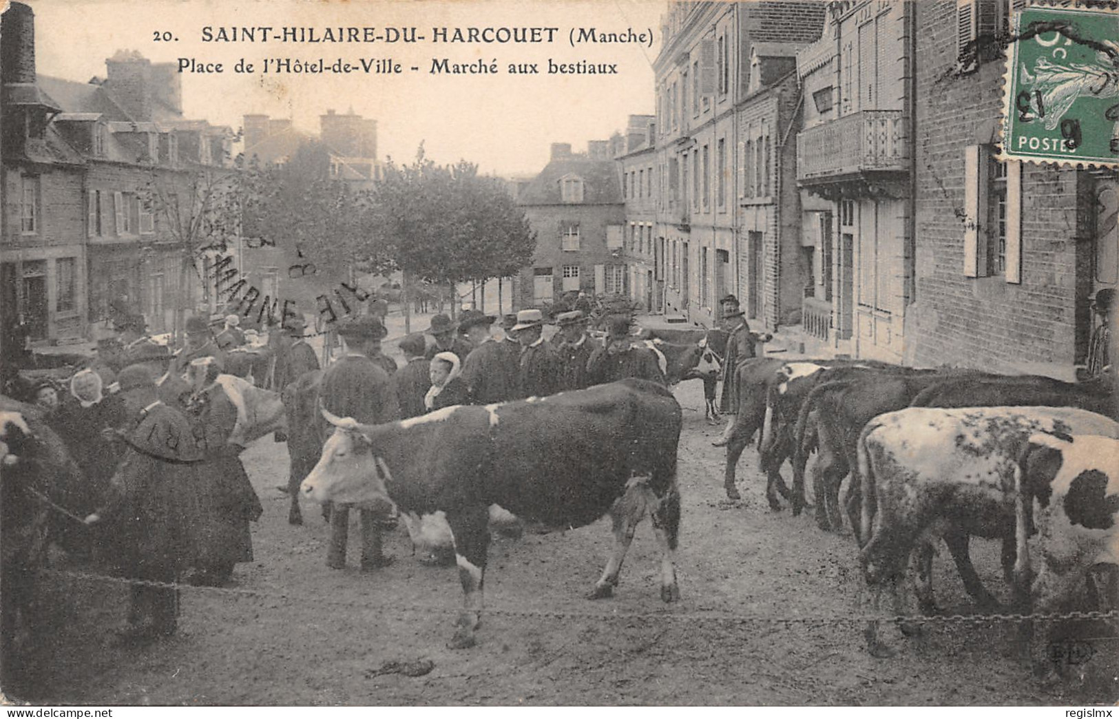 50-SAINT HILAIRE DU HARCOUET-MARCHE AUX BESTIAUX-N°2043-H/0051 - Saint Hilaire Du Harcouet