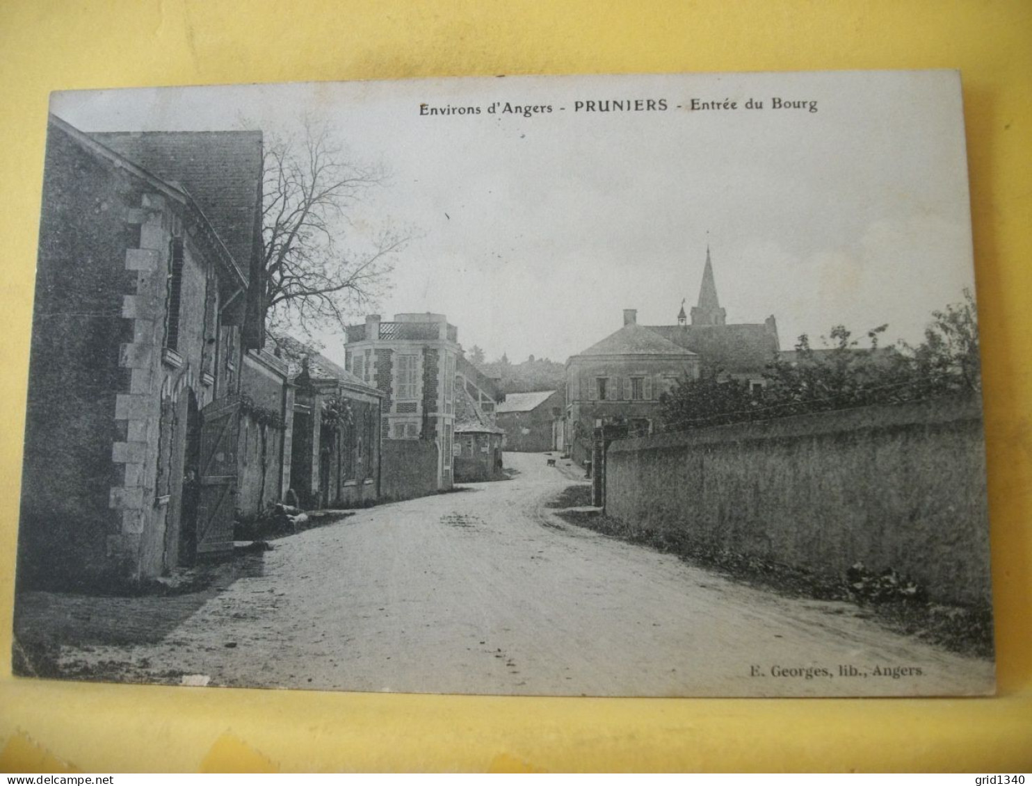 49 5830 CPA 1905 - 49 ENVIRONS D'ANGERS - PRUNIERS - ENTREE DU BOURG. - Sonstige & Ohne Zuordnung