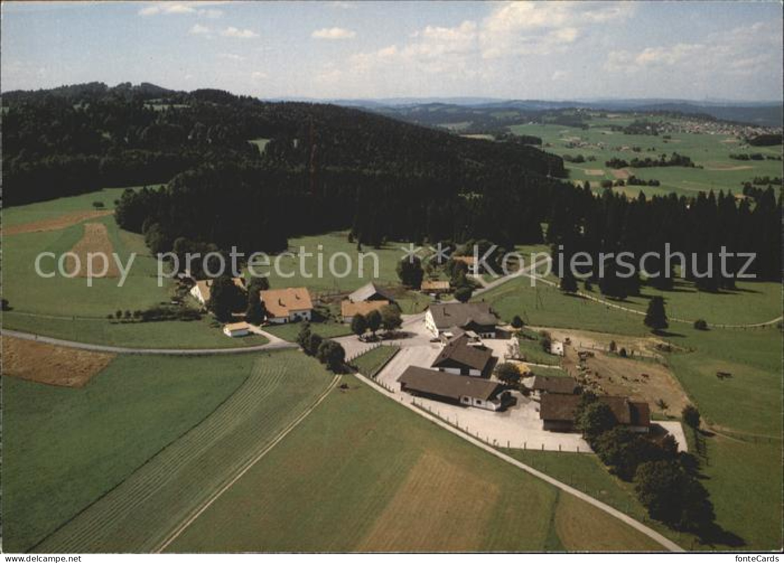 11877991 Le Roselet Fliegeraufnahme Stiftung Fuer Das Pferd Muriaux - Sonstige & Ohne Zuordnung