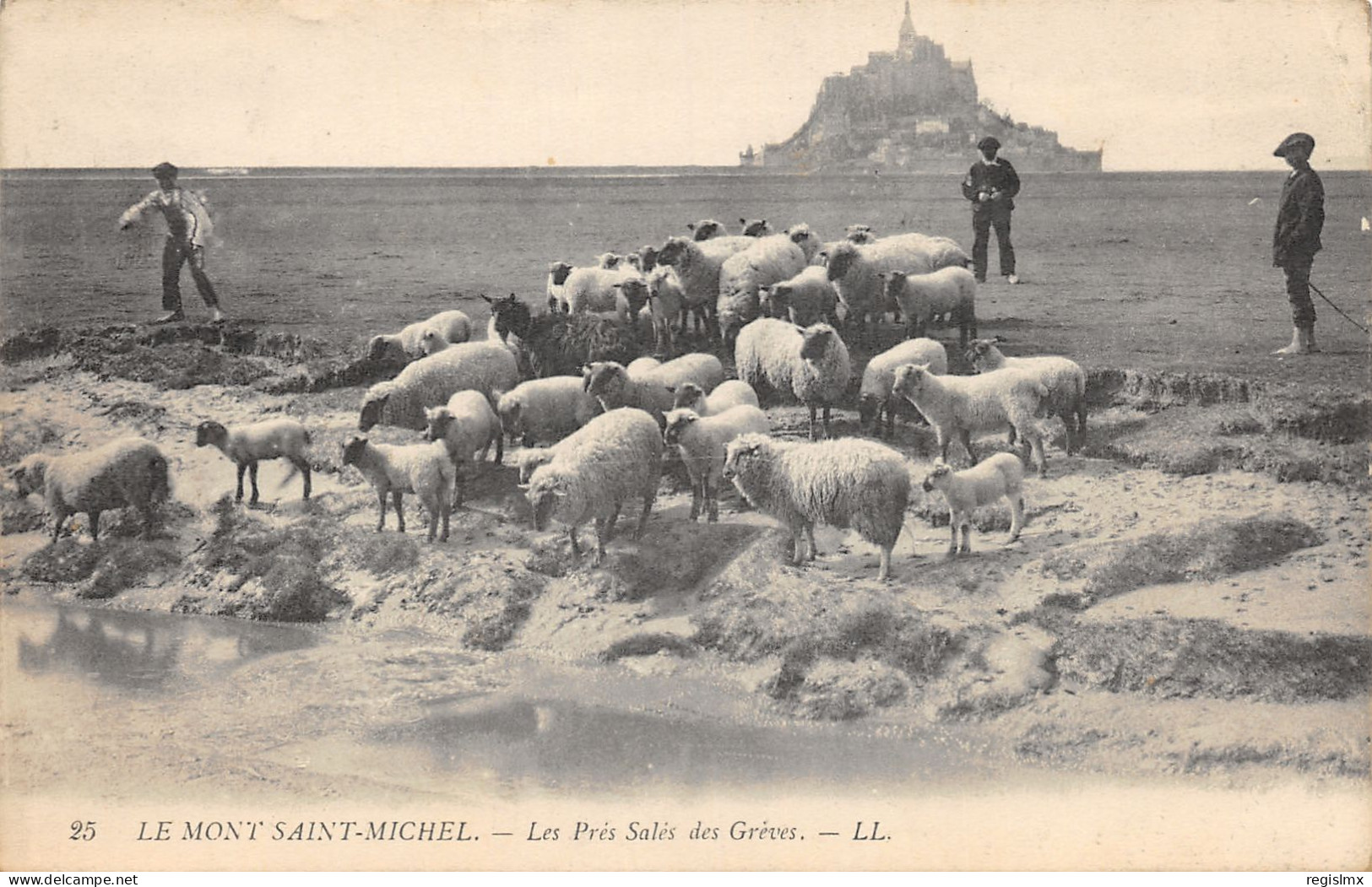 50-LE MONT SAINT MICHEL-LES PRES SALES DES GREVES-N°2043-H/0261 - Le Mont Saint Michel
