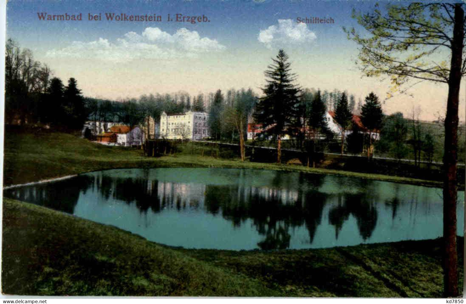 Warmbad Bei Wolkenstein - Schilfteich - Wolkenstein