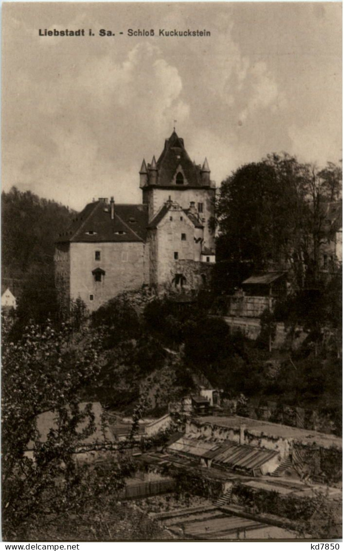 Liebstadt - Schloss Kuckuckstein - Sonstige & Ohne Zuordnung