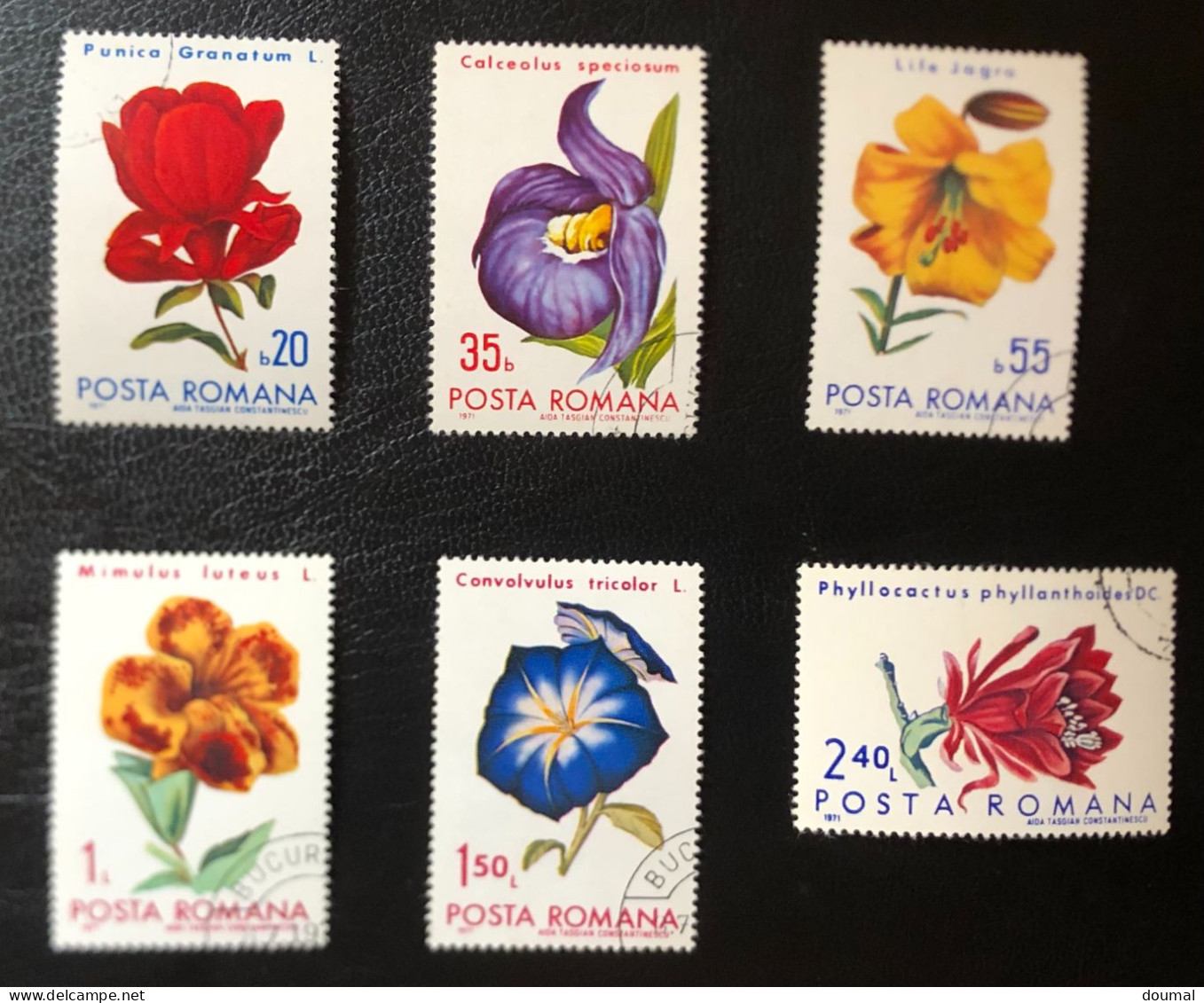 Romana Stamps Flowers 1971 - Usado