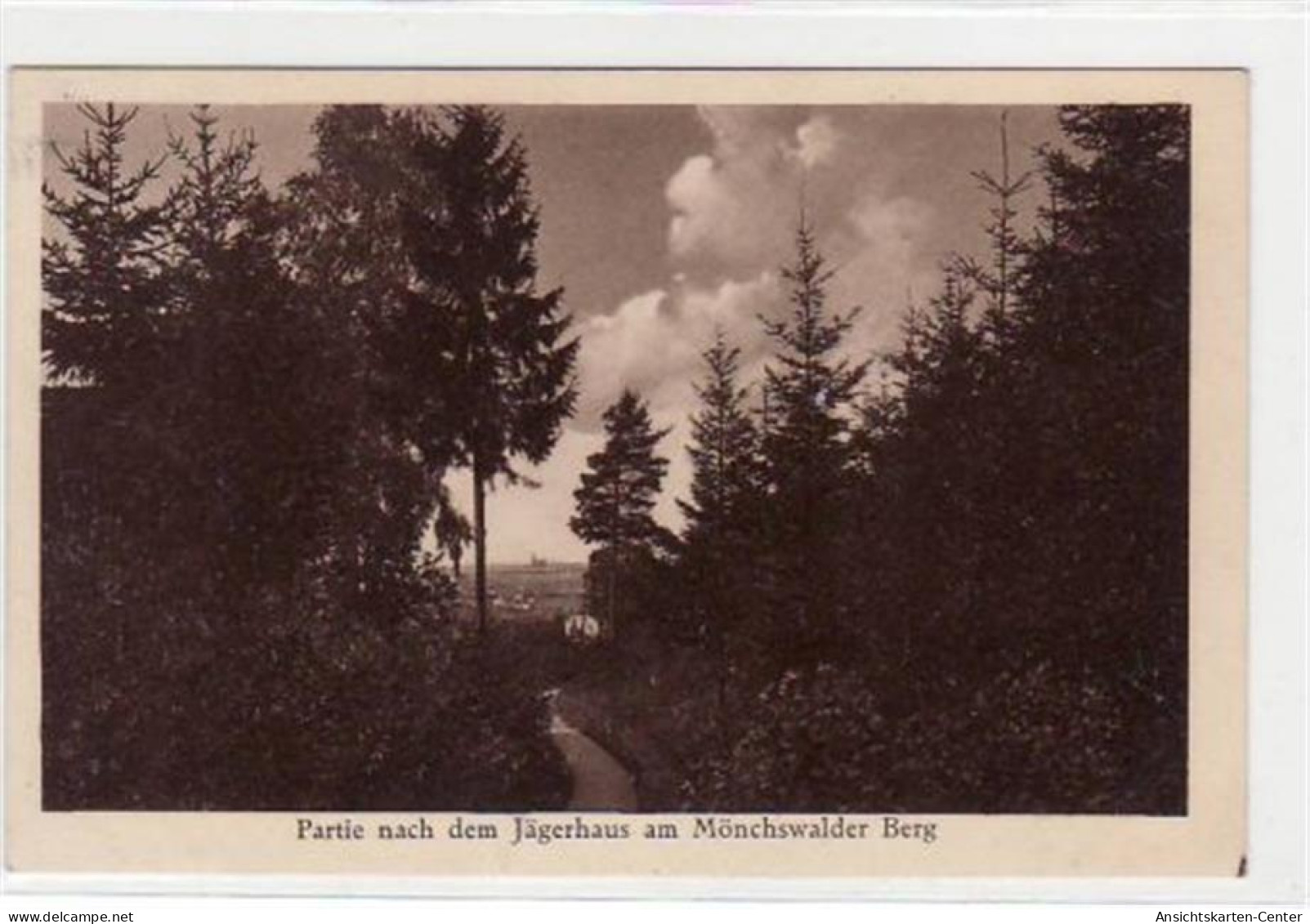 39031306 - Moenchswalder Berg Mit Partie Nach Dem Jaegerhaus Gelaufen Von 1930, Rueckseitiger Stempel: Lehn, Neukirch ( - Bautzen