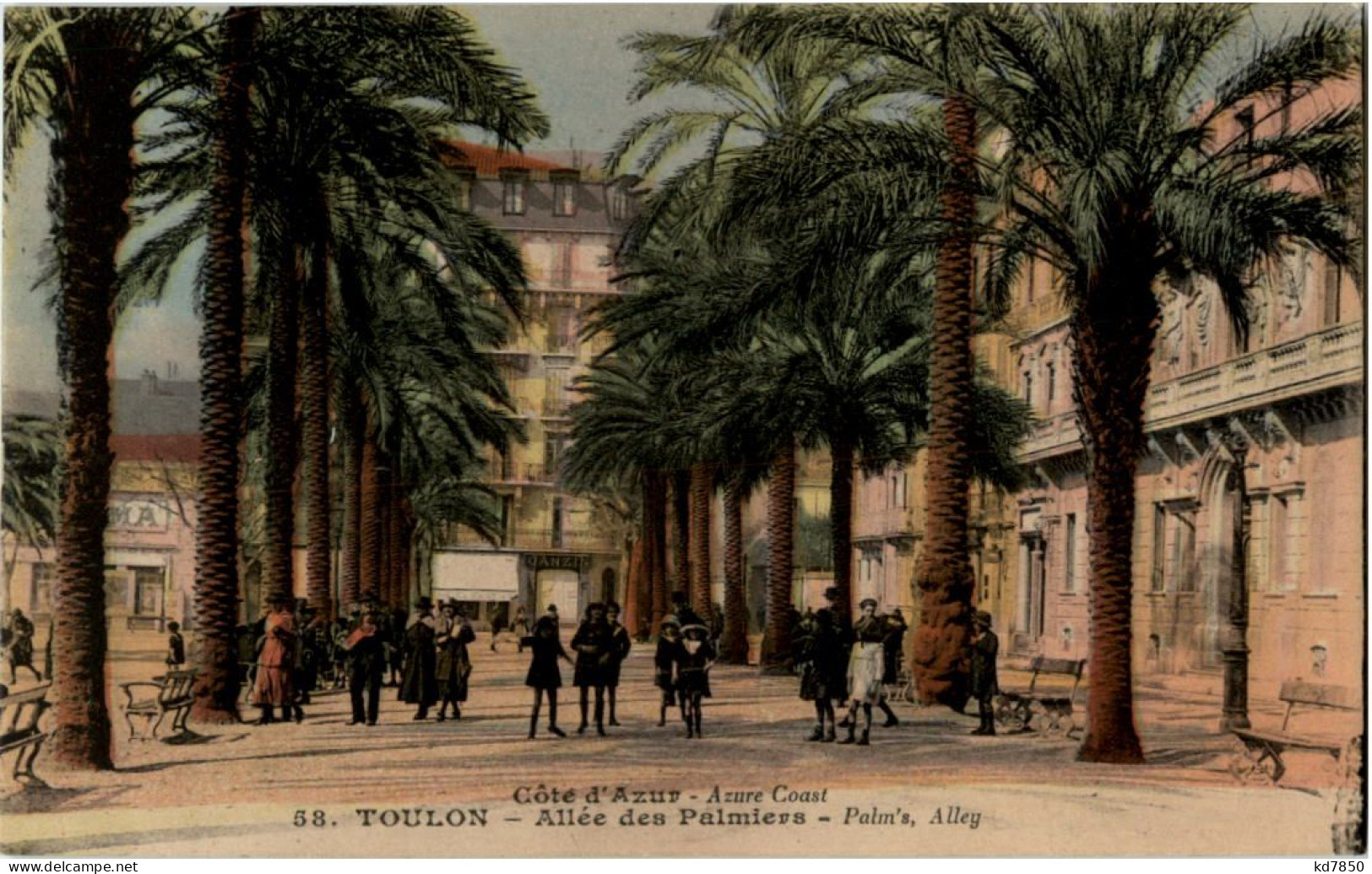 Toulon - Allee Des Palmiers - Toulon