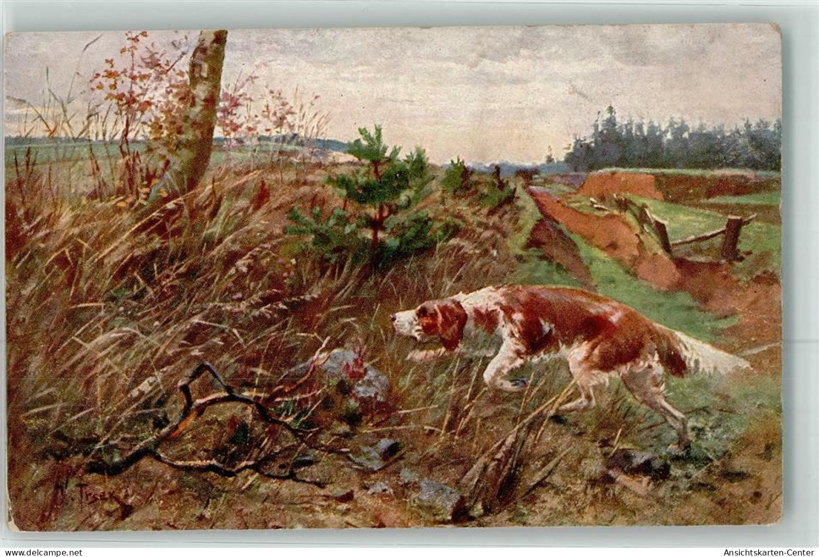 39435406 - Springer Spaniel Sign.Trsek V. Auf Der Spur Verlag Jedlicka Nr.27 - Hunde