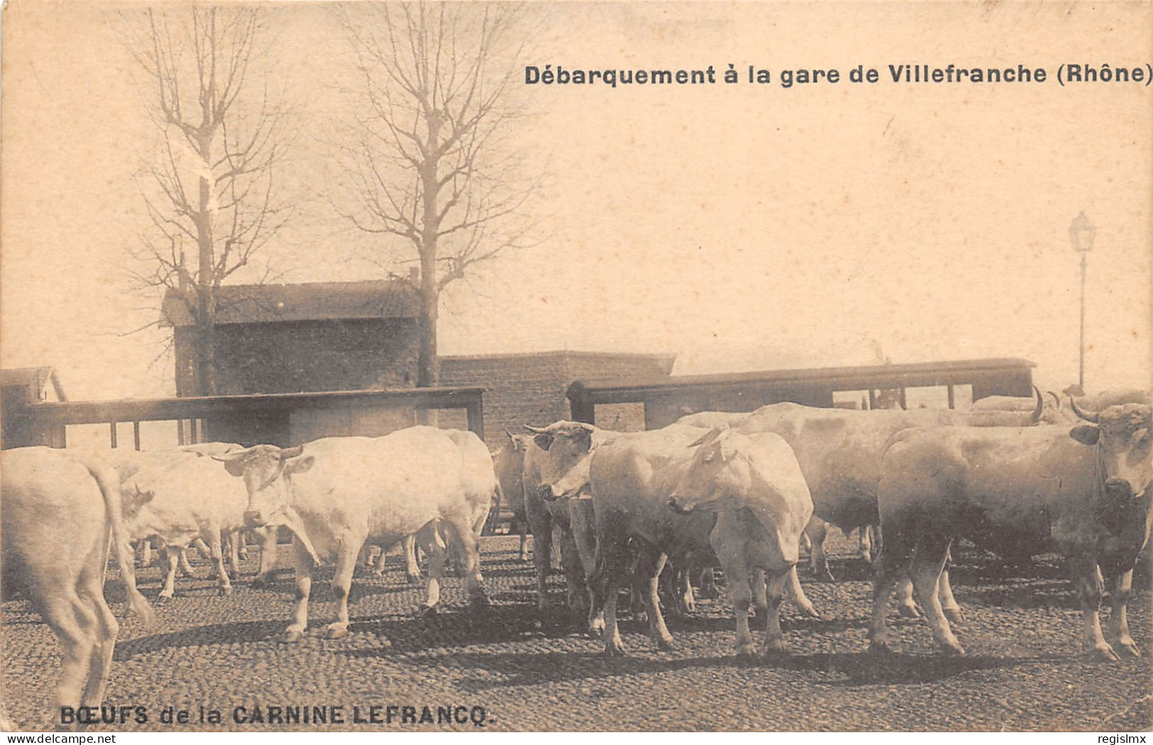 69-VILLEFRANCHE SUR SAONE-DEBARQUEMENT DES BŒUFS-N°2046-G/0039 - Villefranche-sur-Saone
