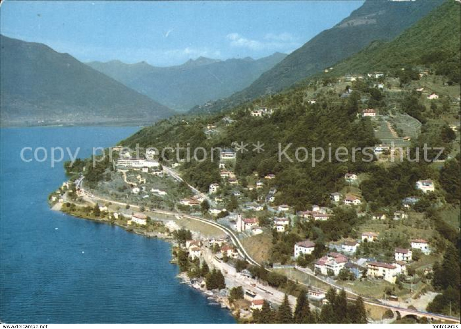 11877601 San Nazzaro Lago Maggiore Panorama S. Nazzaro - Autres & Non Classés