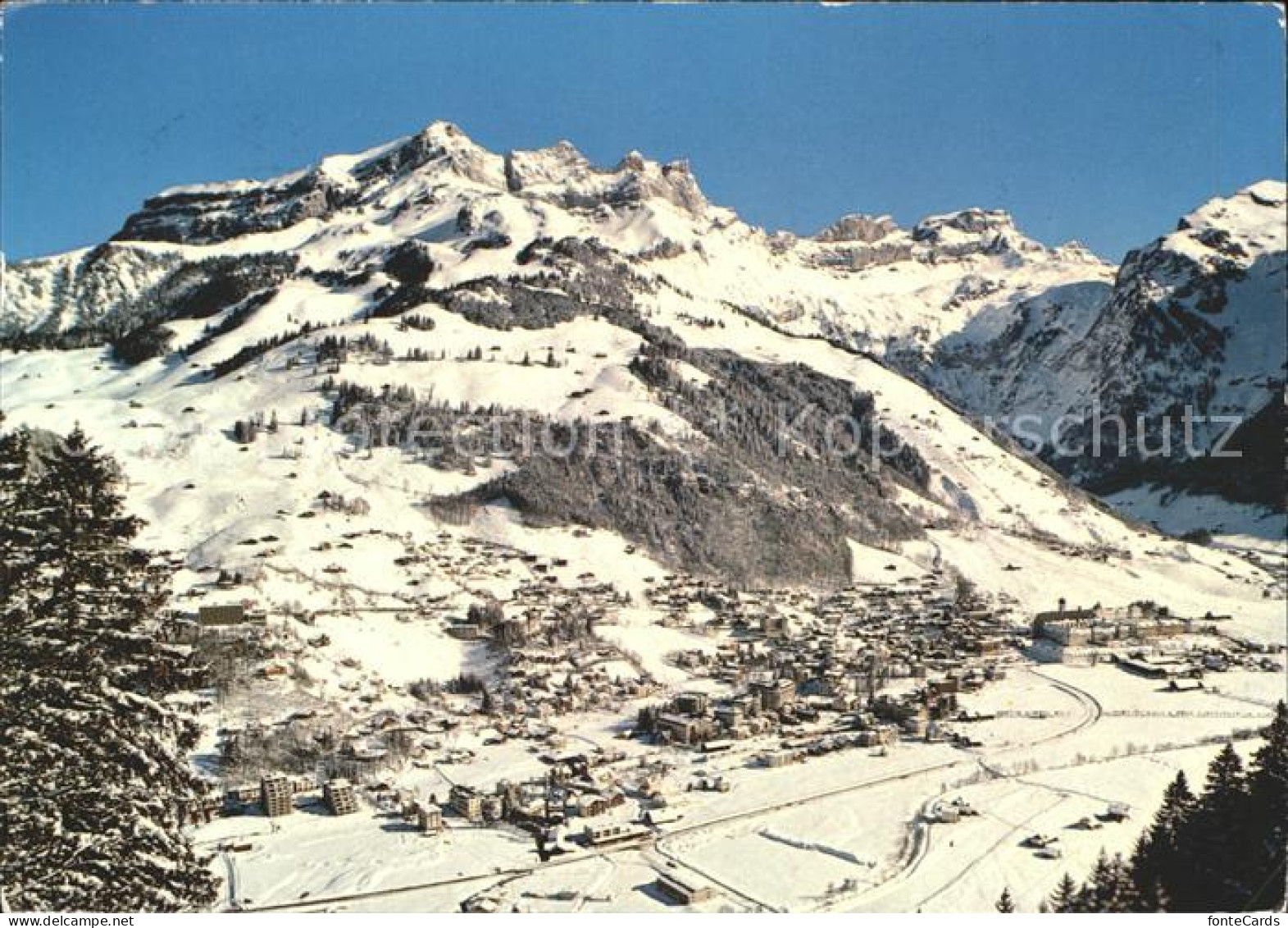 11877590 Engelberg OW Skigebiet Totalansicht Engelberg - Sonstige & Ohne Zuordnung