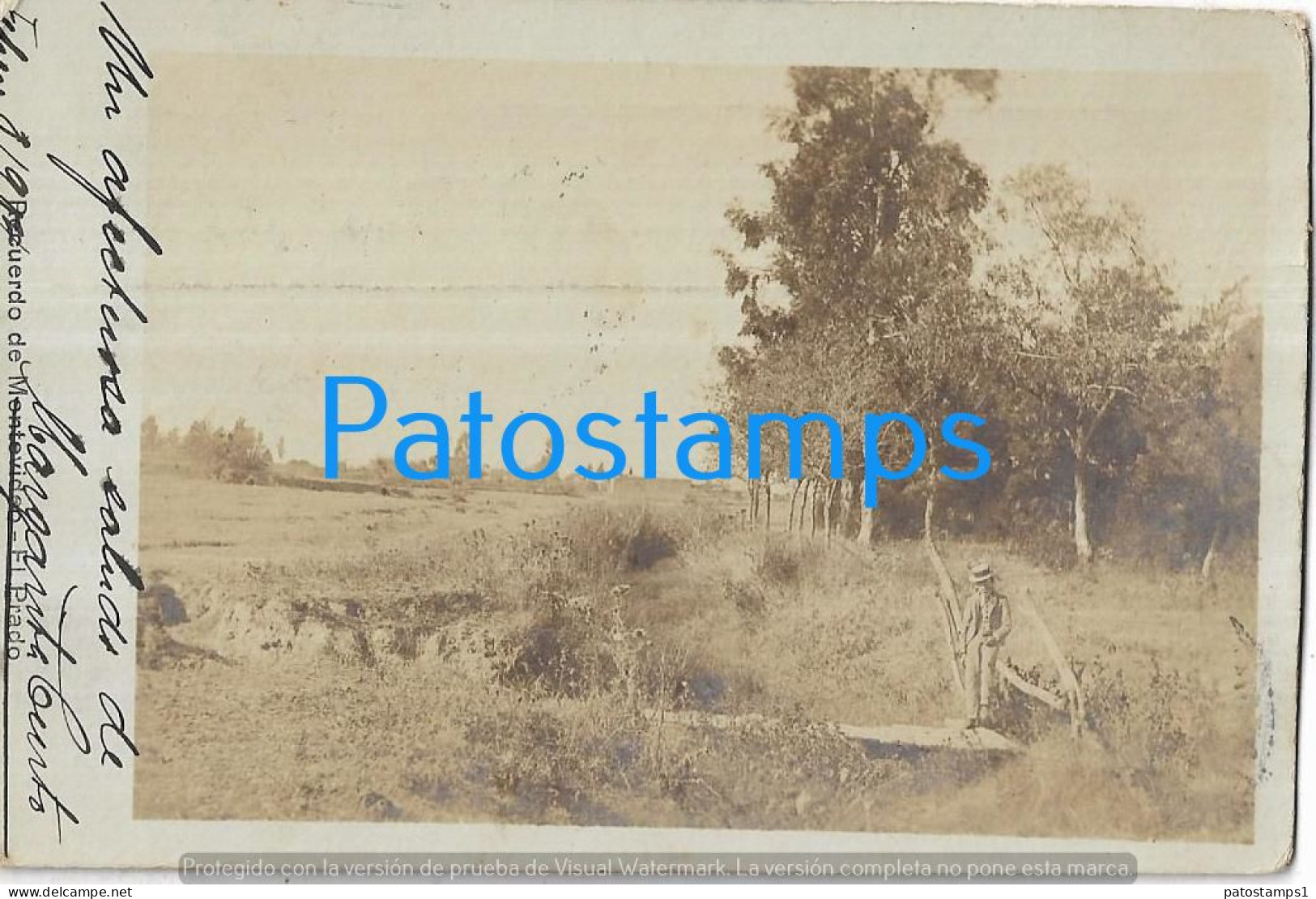 227991 URUGUAY MONTEVIDEO EL PRADO VISTA PARCIAL CIRCULATED TO ARGENTINA POSTAL POSTCARD - Uruguay