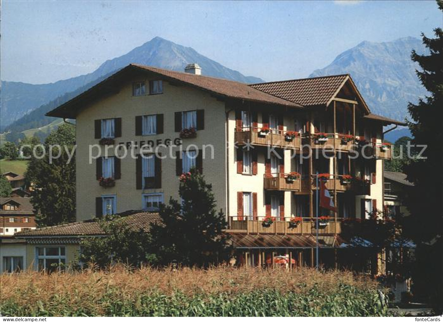 11875508 Aeschi BE Hotel Friedegg  Aeschi B. Spiez - Otros & Sin Clasificación