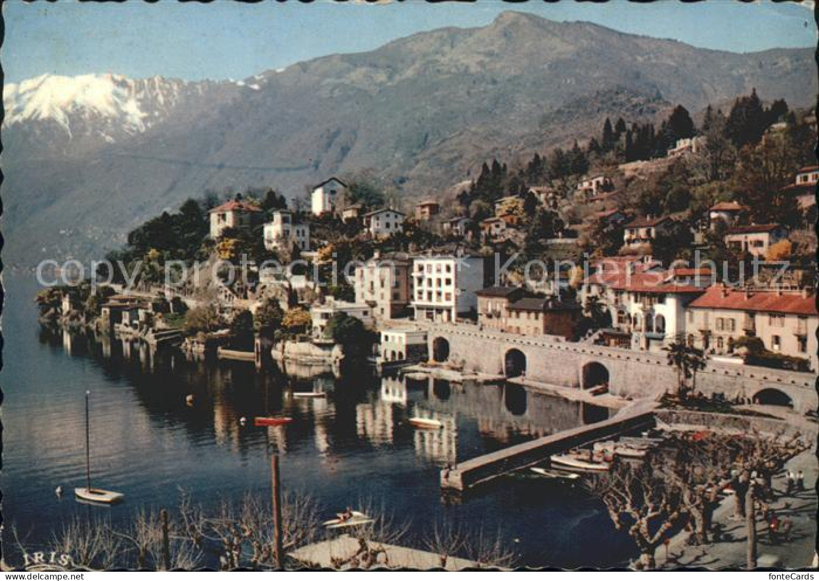 11875278 Ascona TI Collina S Michele Ascona - Autres & Non Classés