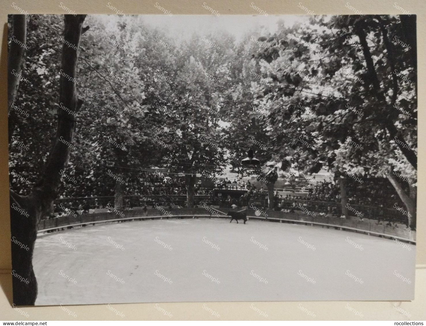 France 1967 Photo Corrida Course De Taureaux. Arenes BEAUCAIRE. - Europe