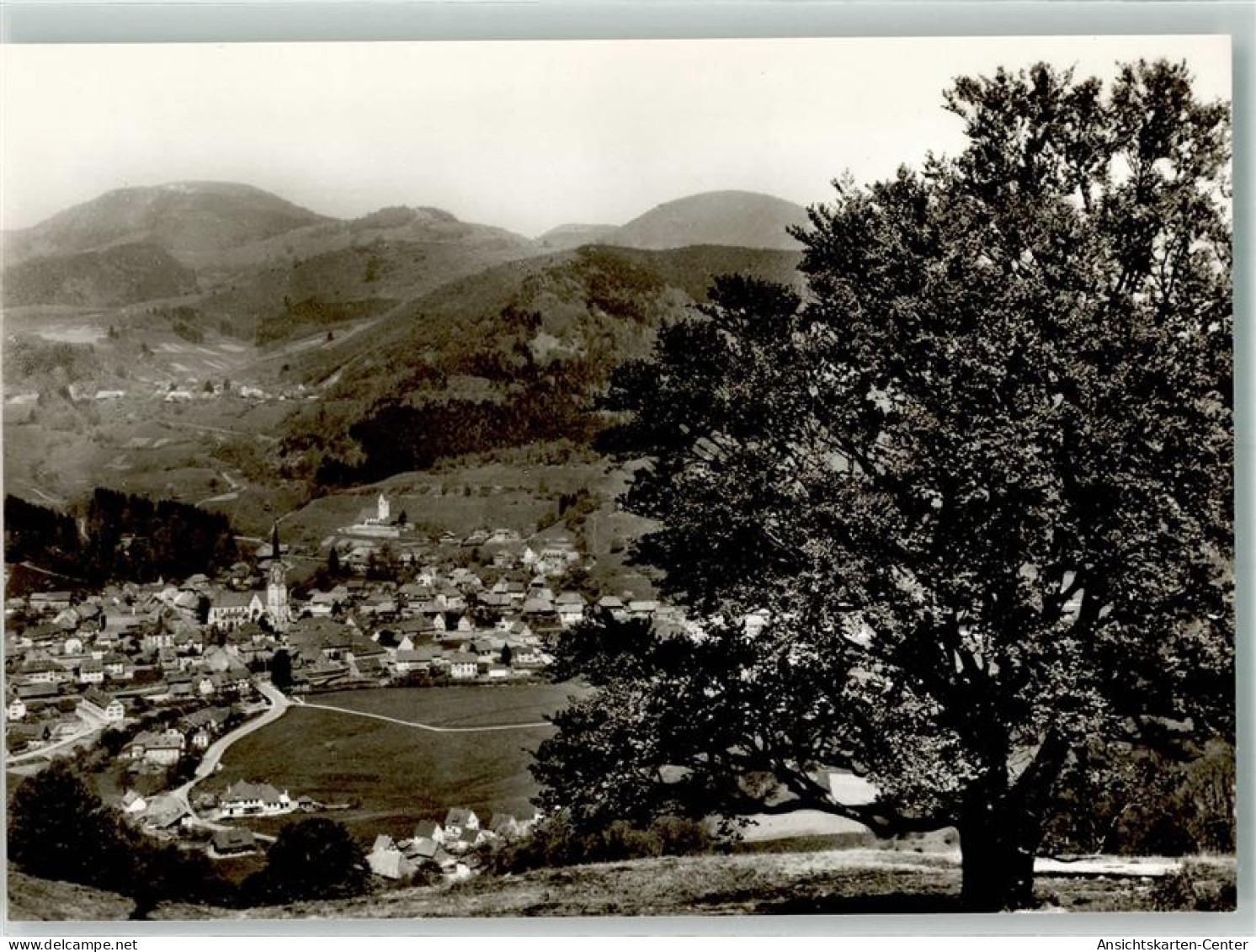 39862306 - Schoenau Im Schwarzwald - Andere & Zonder Classificatie