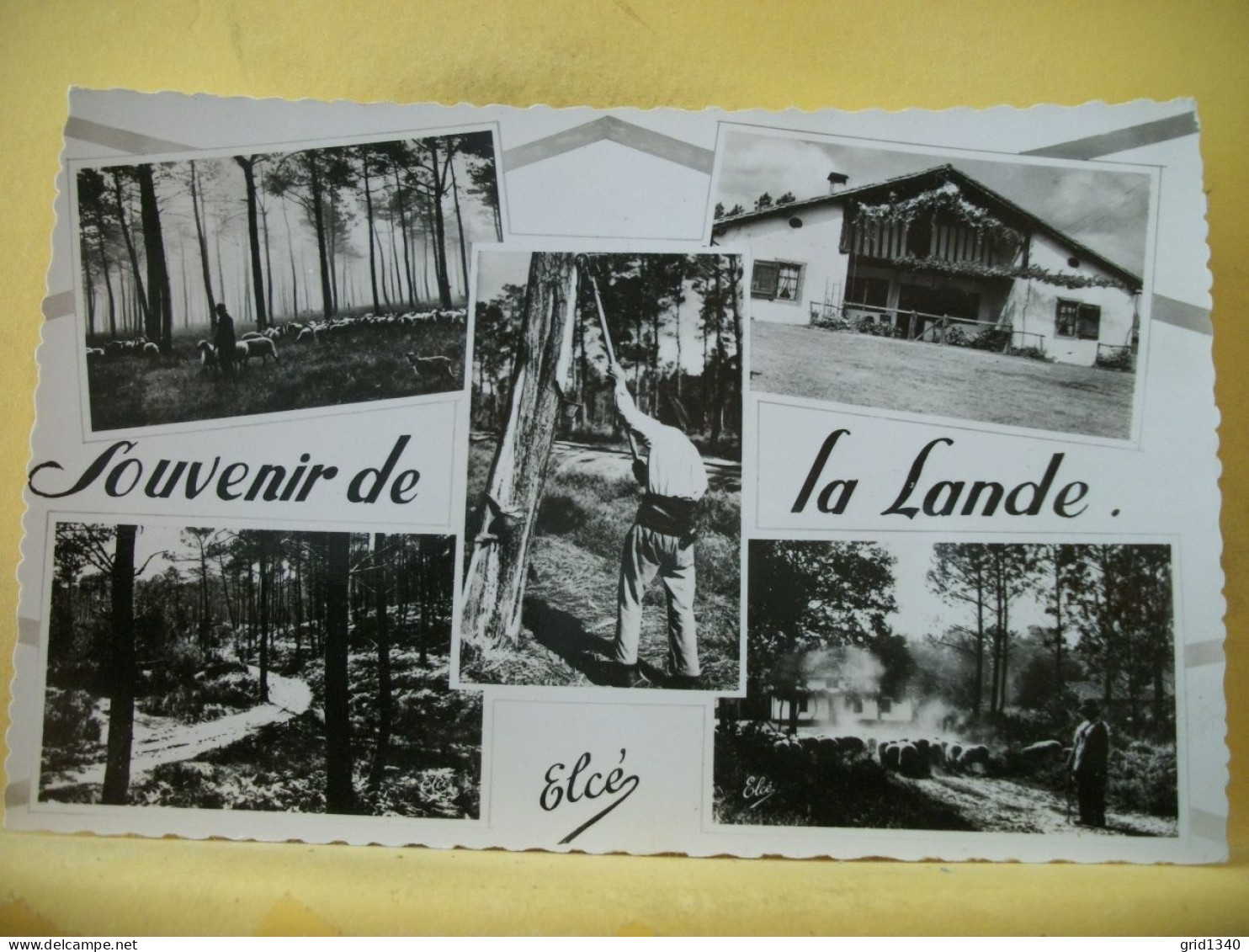 40 4378 LOT N° 4 DE 10 CPA DIFFERENTES SUR SCENES ET TYPES DANS LES LANDES