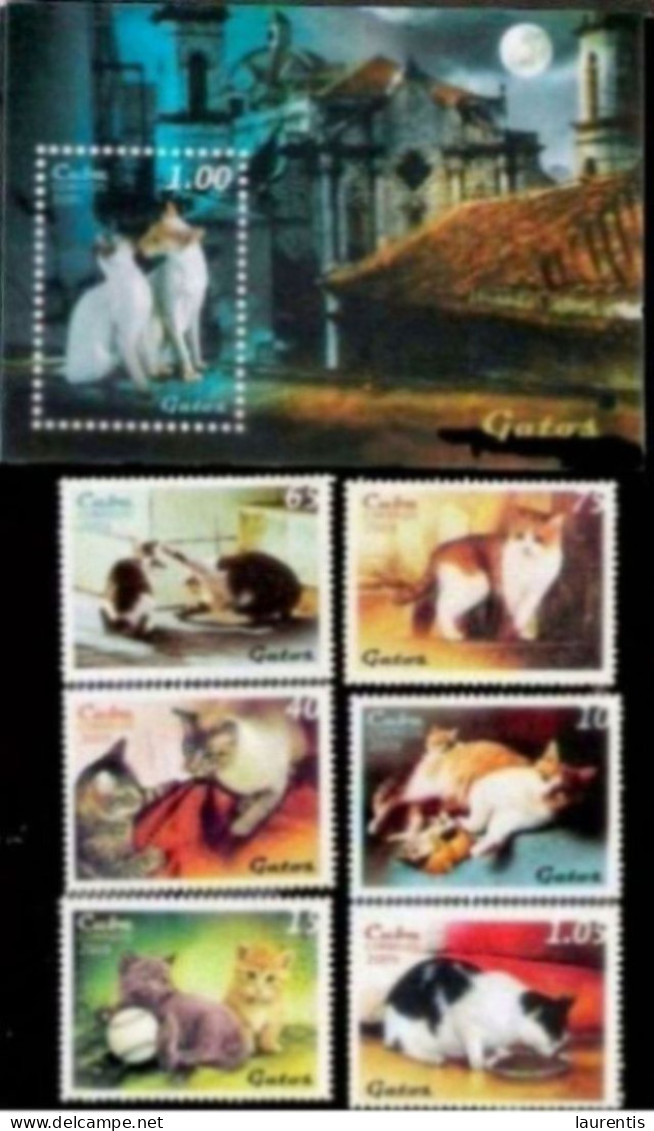 222  Chats - Cats 2009 - MNH - Cb -  2,75 - Hauskatzen