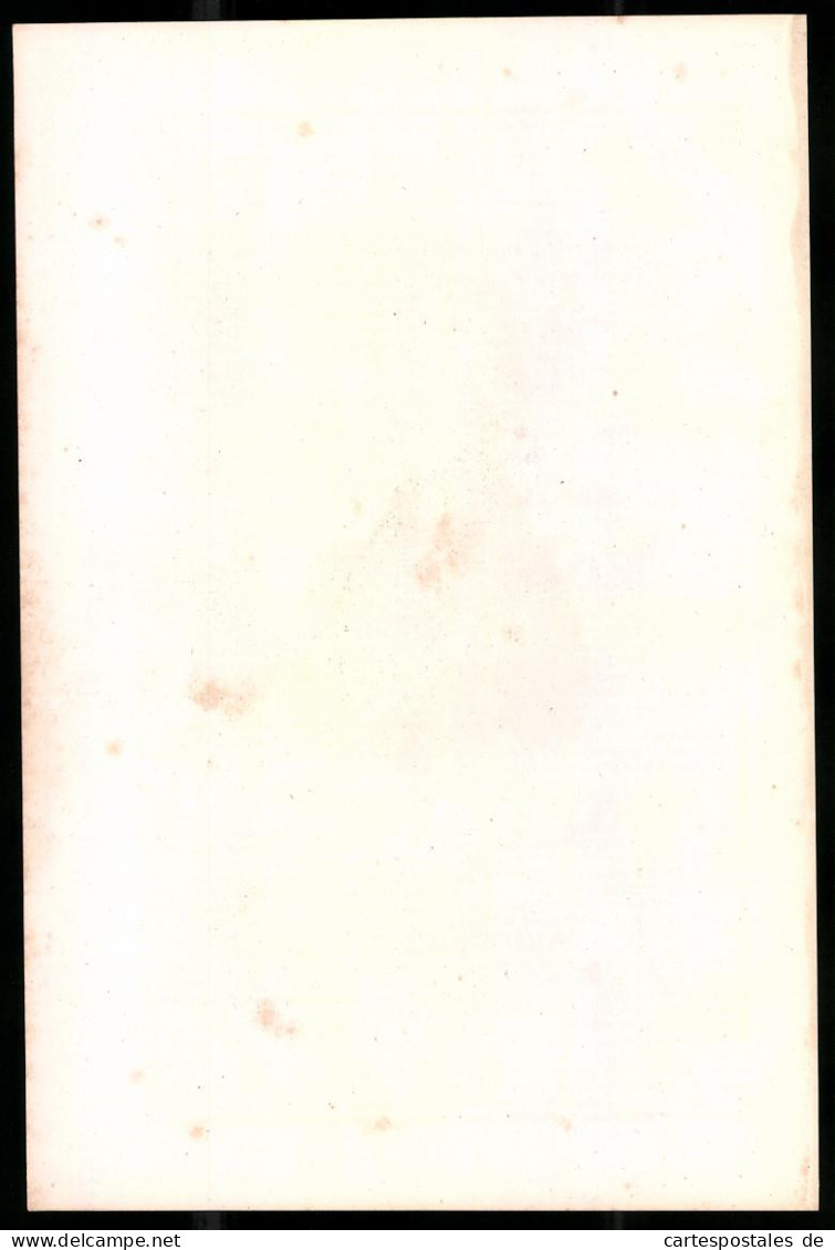 Lithographie Johann Amadeus Naumann, Lithographie Um 1835 Aus Saxonia, 28 X 19cm  - Litografia