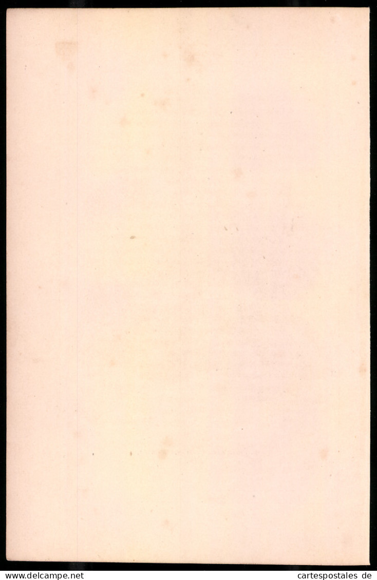 Holzstich Divisionsgeneral Und Sein Adjutant 1812, Altkolorierter Holzstich Von Bellange Um 1843, 16 X 24cm  - Dibujos