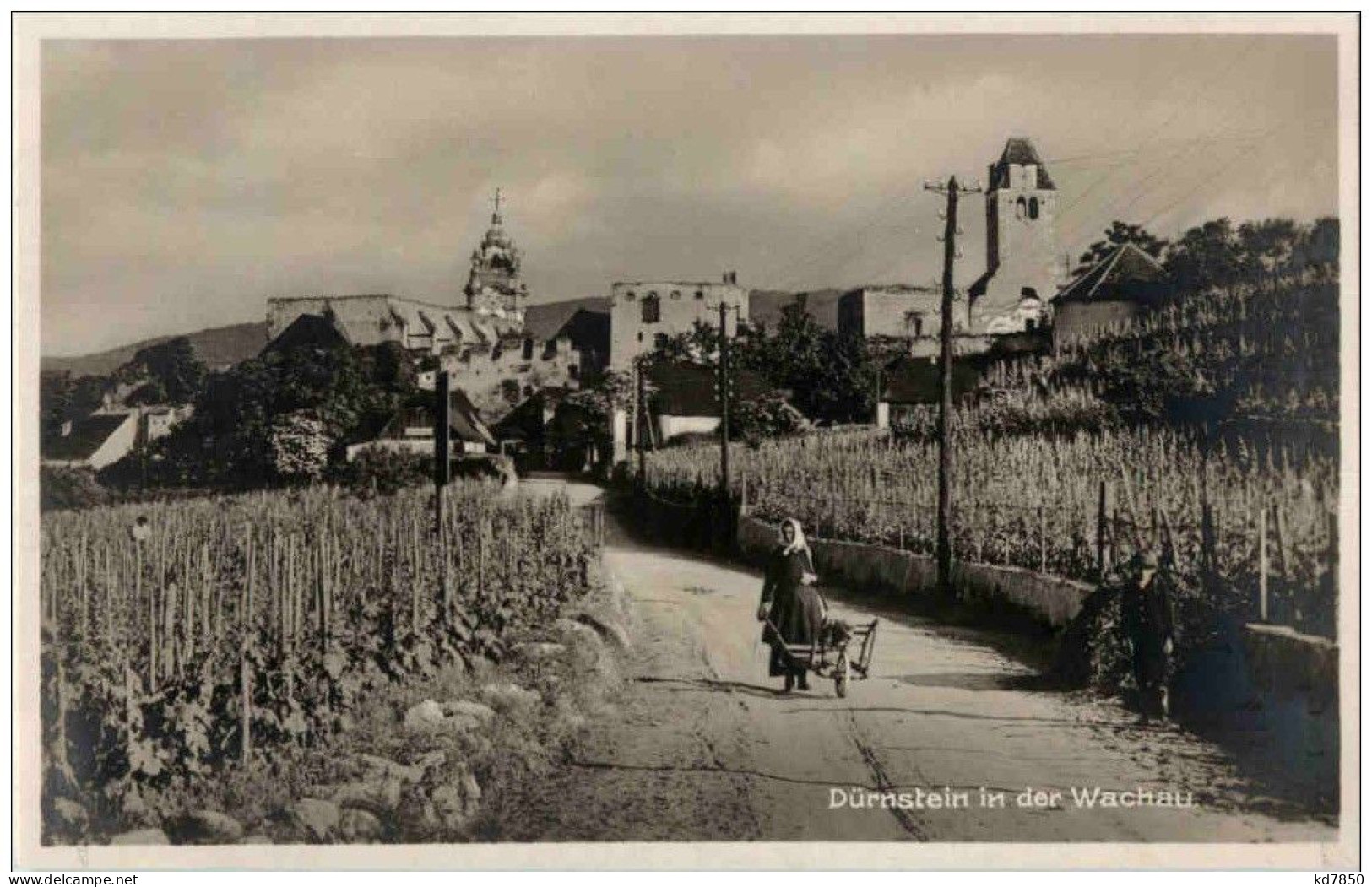 Dürnstein In Der Wachau - Sonstige & Ohne Zuordnung