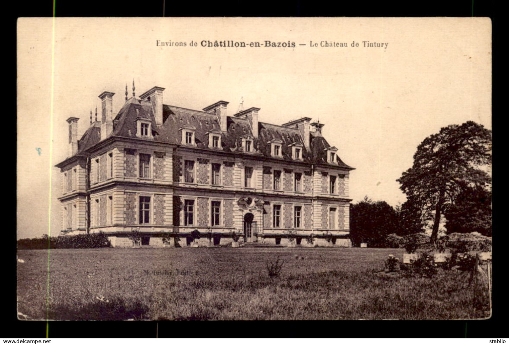 58 - CHATEAU DE TINTURY - Otros & Sin Clasificación