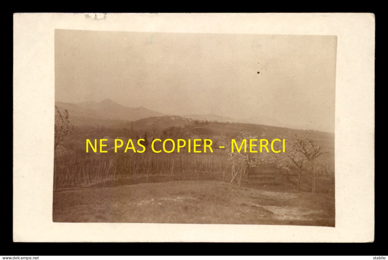 68 - BEBLENHEIM - FELDPOSTKARTE - CARTE PHOTO ORIGINALE - GUERRE 14/18 - Sonstige & Ohne Zuordnung