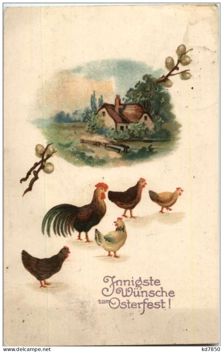 Hühner - Chicken - Oiseaux