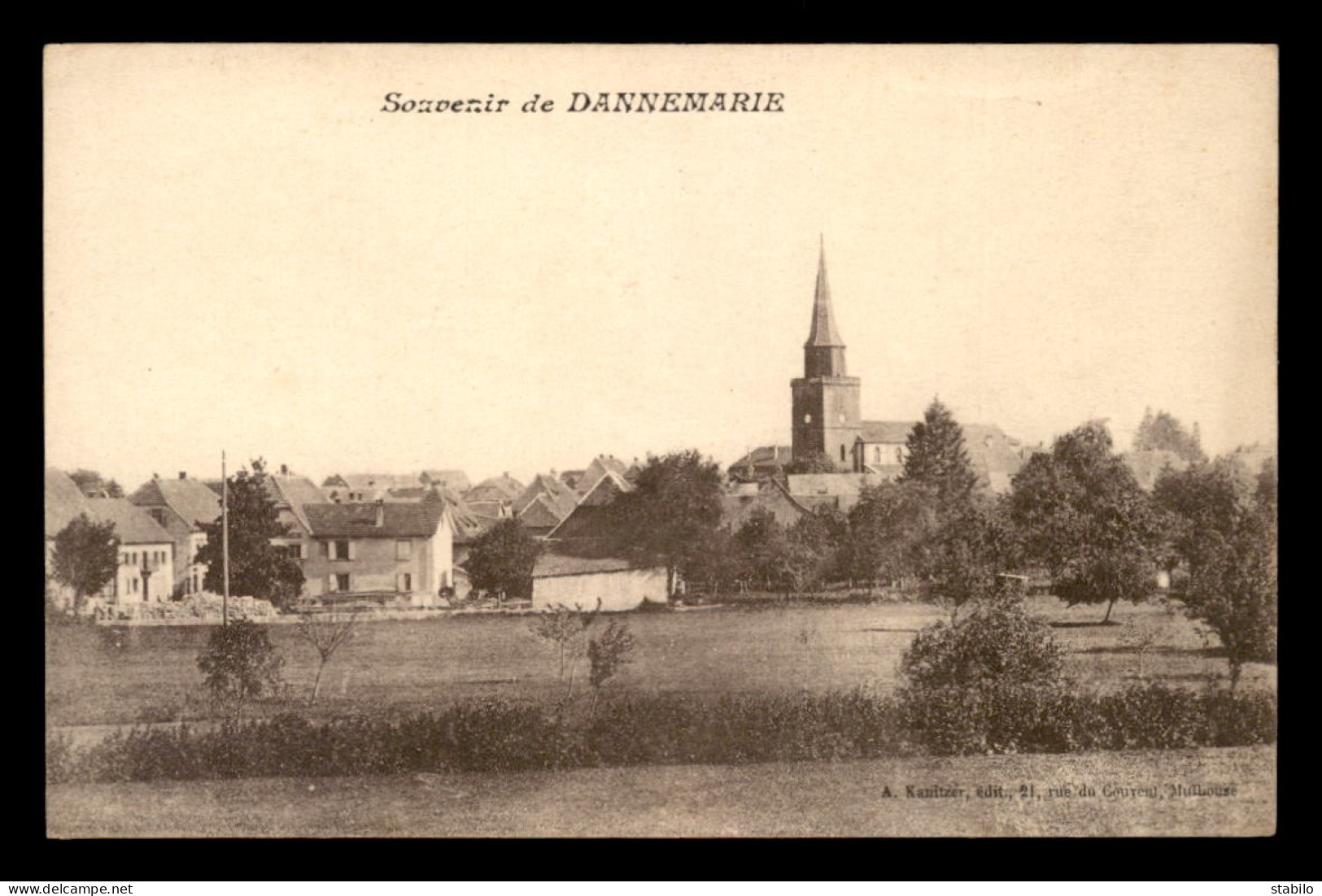 68 - DANNEMARIE - SOUVENIR - VUE GENERALE - Dannemarie