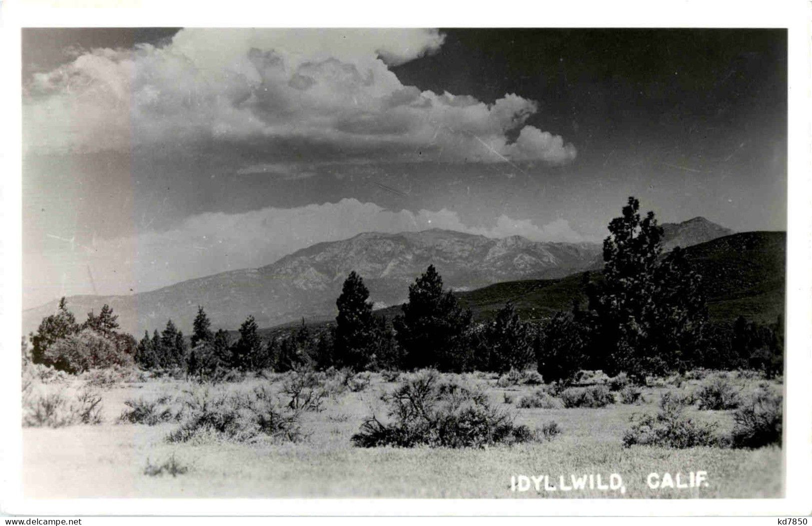 Idyllwild - Other & Unclassified