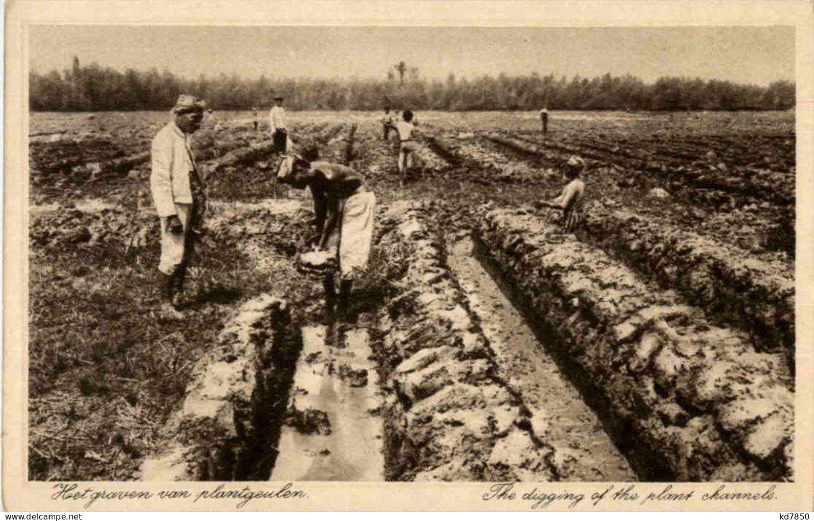 Soerabaia - The Digging Of The Plant Channels - Indonesien