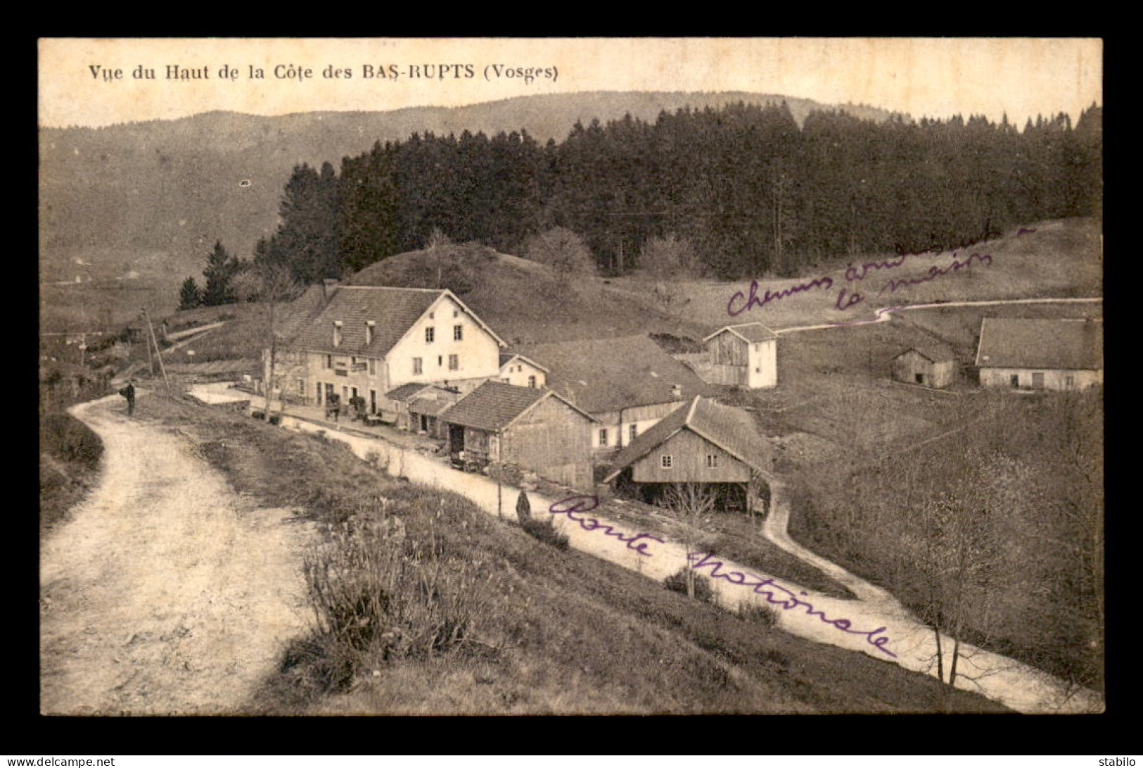 88 - LES BAS-RUPTS -  VUE DU  HAUT DE LA COTE - Sonstige & Ohne Zuordnung