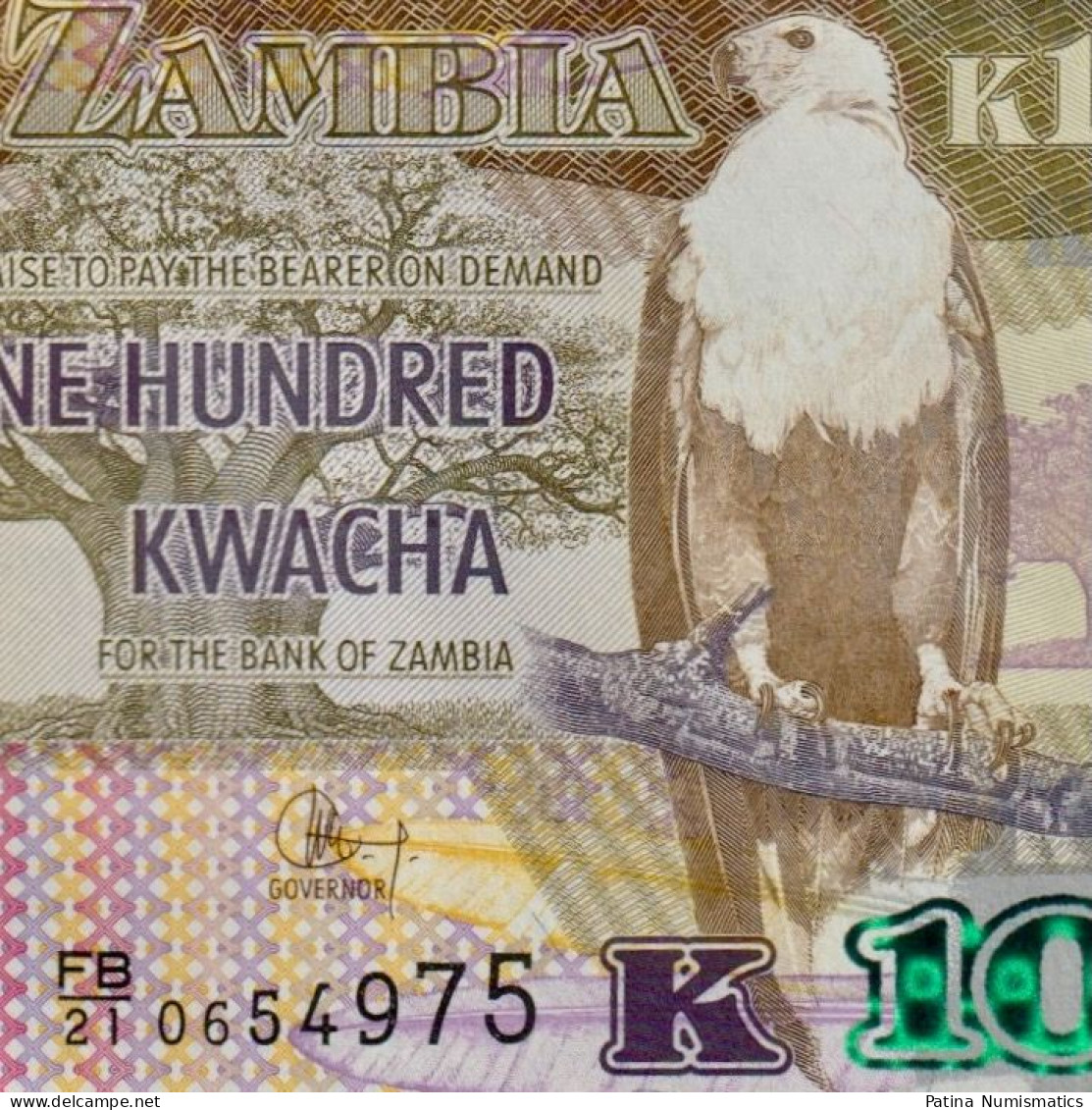 Zambia. 100 Kwacha. 2021. African Fish Eagle. P.61. FB/21 Prefix. Crisp UNC - Sambia