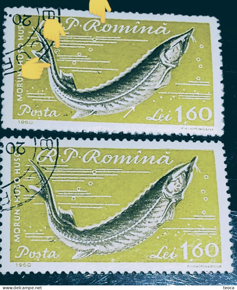 Errors Romania 1960 # MI 1933 Fishes Printed With Circle Between Letters, Circle Sky Between Lines Used - Variétés Et Curiosités