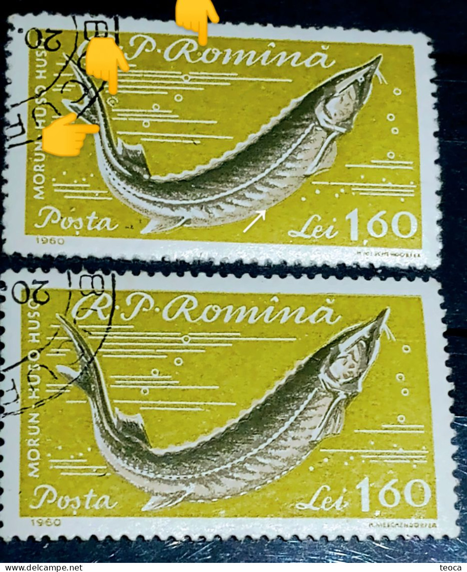 Errors Romania 1960 # MI 1933 Fishes Printed With Circle Between Letters, Circle Sky Between Lines Used - Abarten Und Kuriositäten