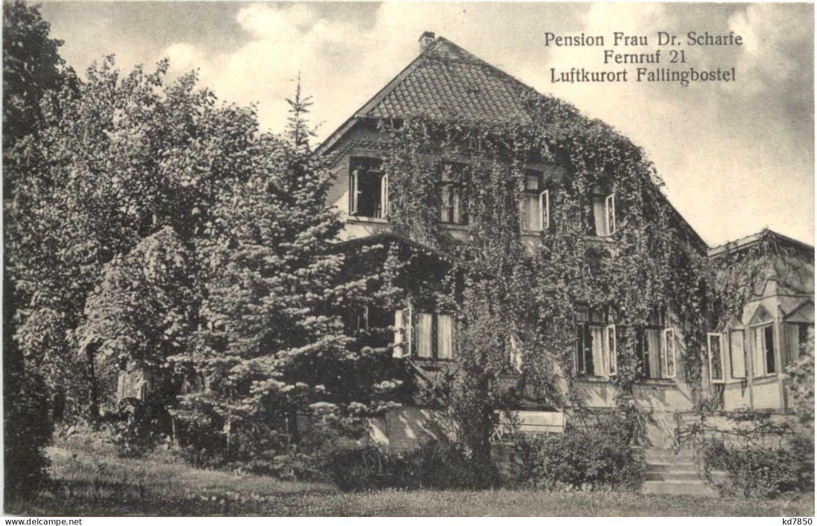 Fallingbostel - Pension Frau Dr. Scharfe - Fallingbostel