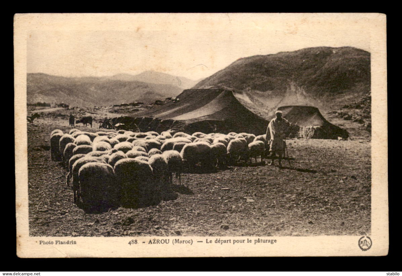 MAROC - AZROU - TROUPEAU DE MOUTONS - DEPART POUR LE PATURAGE - Andere & Zonder Classificatie