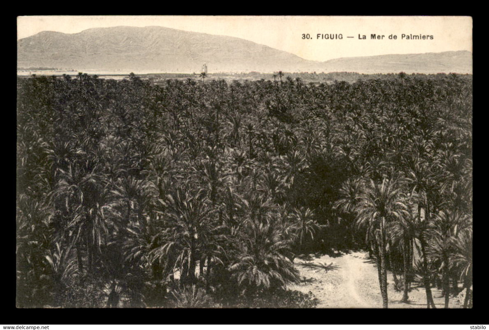 MAROC - SAHARA -  FIGUIG - LA MER DE PALMIERS - Other & Unclassified